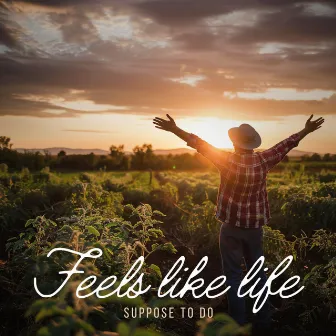 Feels Like Life Suppose To Do by Robin Rick