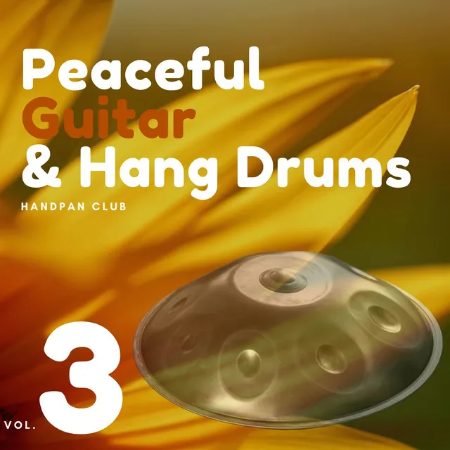 Hang Drum Spa Music (Thought Surfing)