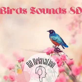 Birds Sounds 8D by 8D Relaxation