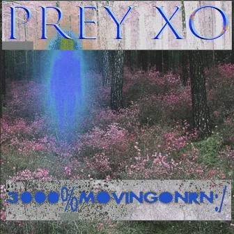 3000%movingonrn:/ by prey xo