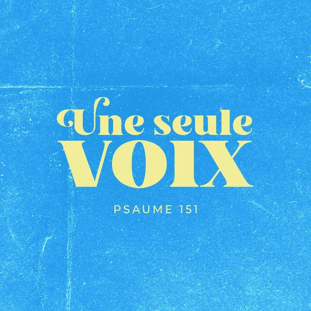 Une seule voix (Radio Edit)