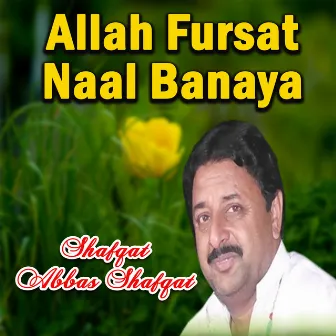 Allah Fursat Naal Banaya by 