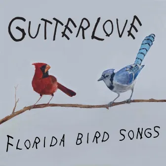 Florida Bird Songs by GutterLove