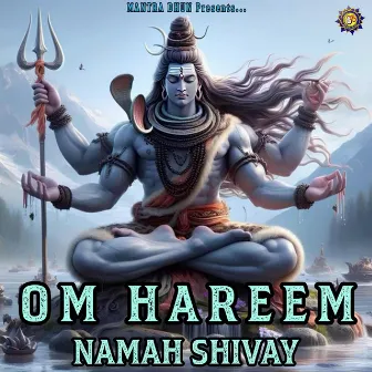 Om Hreem Namah Shivay (Shiv Mantra 108 Times) by Vineet Goyal