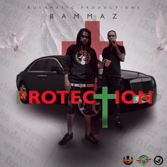 Bammaz Protection