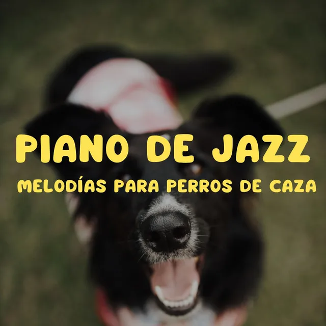 Piano De Jazz: Melodías Para Perros De Caza