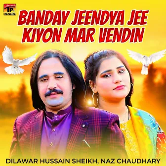 Banday Jeendya Jee Kiyon Mar Vendin - Single by Naz Chaudhary