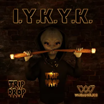 I.Y.K.Y.K by TRIP DROP