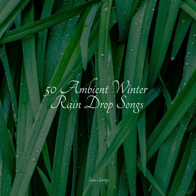 50 Ambient Winter Rain Drop Songs