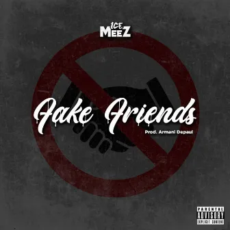 Fake Friends by Ice Meez