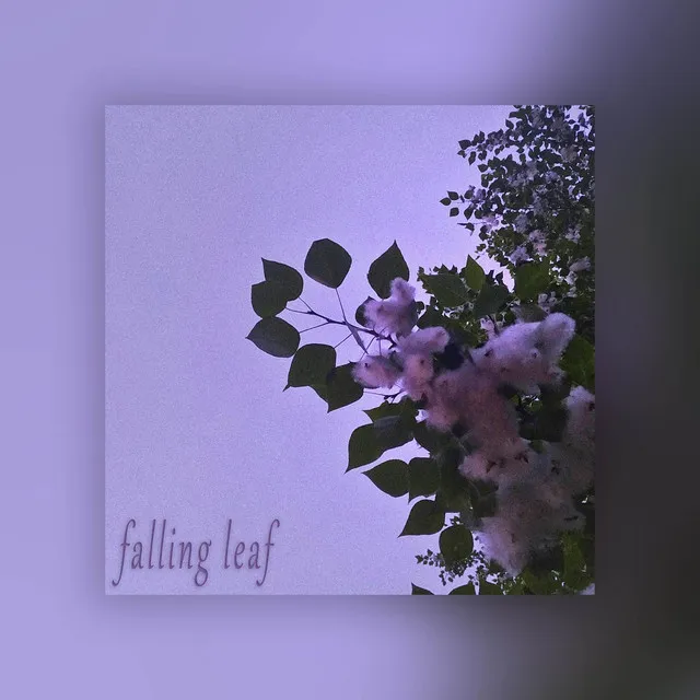 Falling Leaf