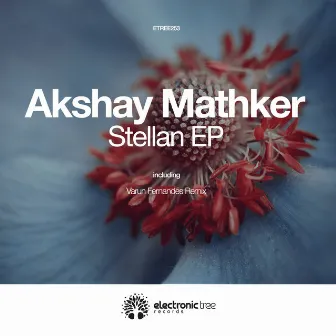 Stellan by Akshay Mathker