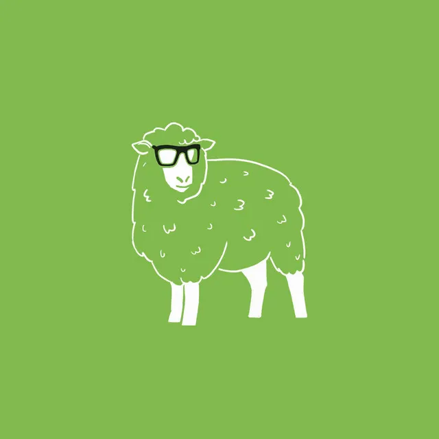 Sheep Chill & Revise