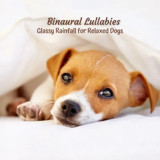 Binaural Lullabies: Glassy Rainfall for Relaxed Dogs