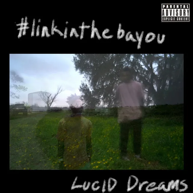 #Linkinthebayou