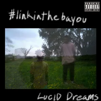 #Linkinthebayou by Lucid Dreams