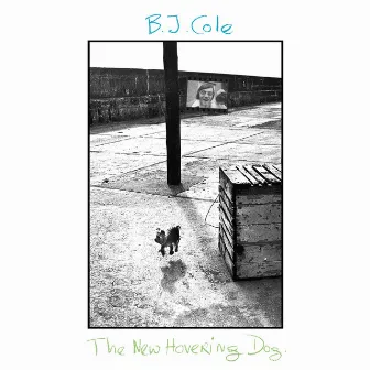 The New Hovering Dog by BJ Cole