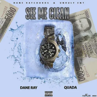 See Me Clean by Dane Ray