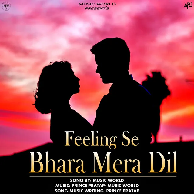 Feeling Se Bhara Mera Dil