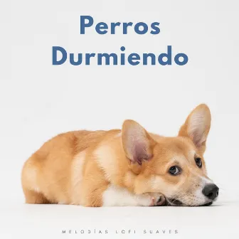 Perros Durmiendo: Melodías Lofi Suaves by Lo-Fi para dormir