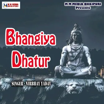 Bhangiya Dhatur by 