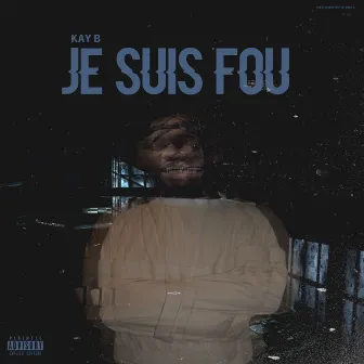 Je Suis Fou by Kay B