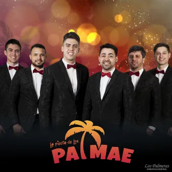 La Fiesta de los Palmae by Palmae