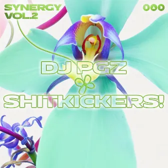 Shitkickers! by DJ PGZ