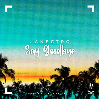 Say Goodbye by Janectro