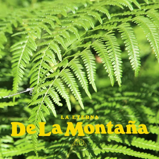 De la Montaña