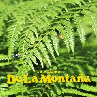 De la Montaña by LA ETERNA