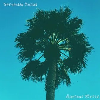 Another World by Turquoise Palms