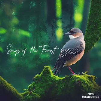 Songs of the Forest by Bird Recordings