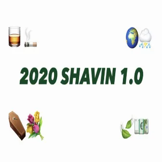 2020 Shavin 1.0 by Shavin