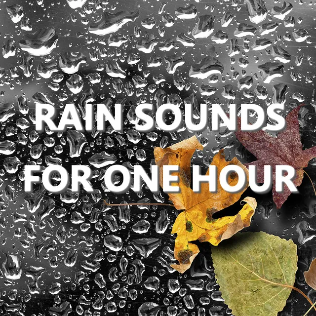 Rain Sounds for One Hour