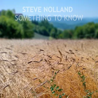 Something To Know by Steve Nolland