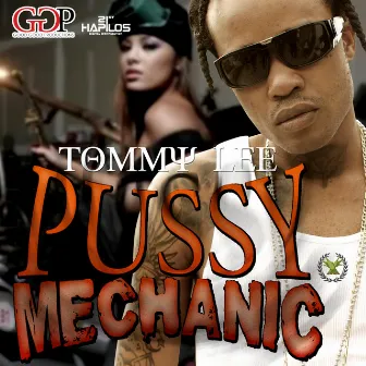 Pussy Mechanic by Tommy Lee