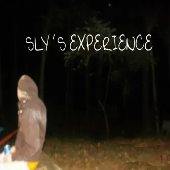 Sly's Experience by Sly