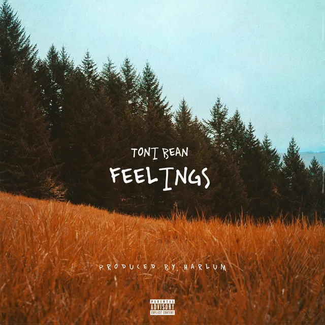 Feelings