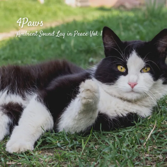 4Paws: Ambient Sound Lay in Peace Vol. 1