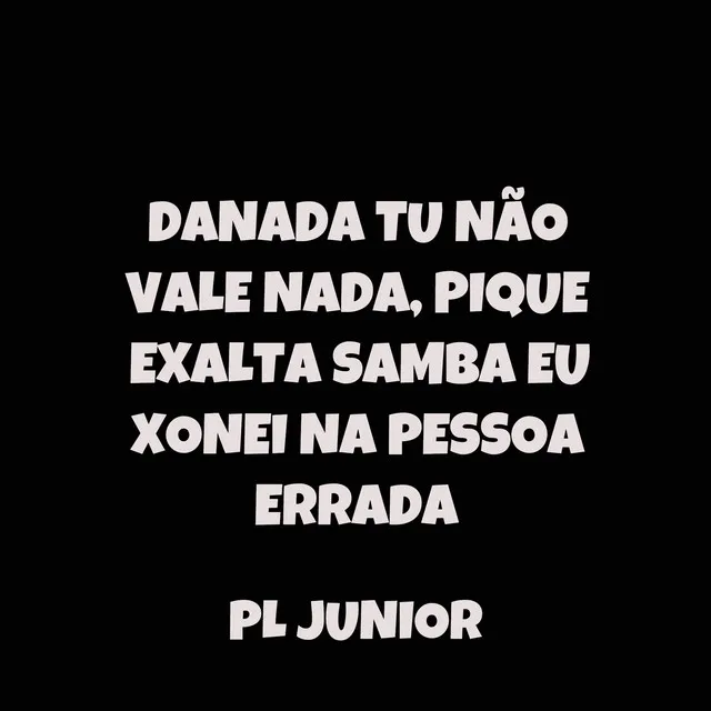 Danada Tu Não Vale Nada, Pique Exalta Samba Eu Xonei Na Pessoa Errada