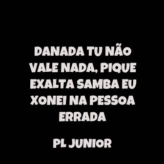 Danada Tu Não Vale Nada, Pique Exalta Samba Eu Xonei Na Pessoa Errada by PL JUNIOR