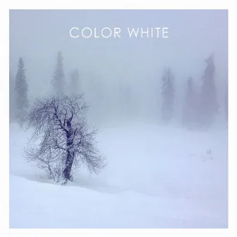 Color White by Parvaaz