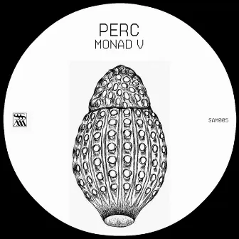 Monad V by Perc