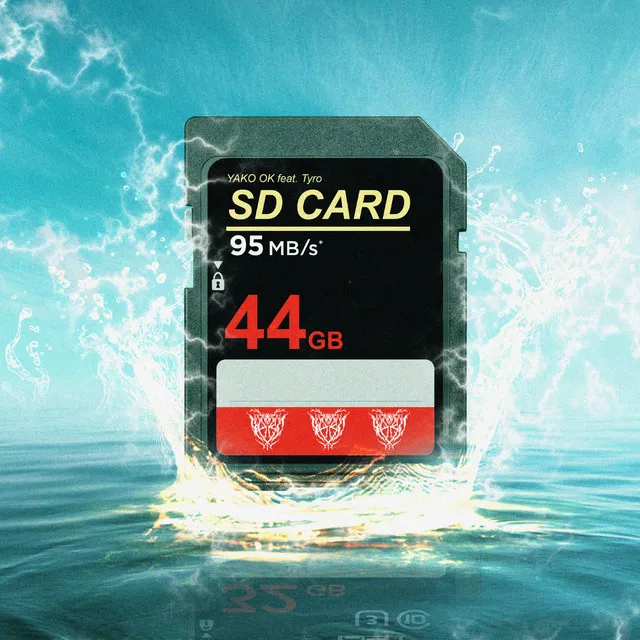 SD CARD