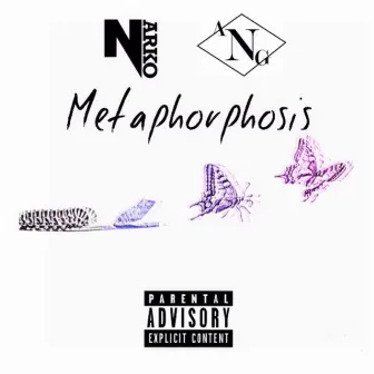 Metaphorphosis by Narko