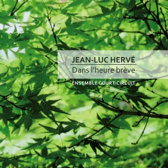 Dans L'heure Brève De Jean-Luc Hervé by Ensemble Court-Circuit