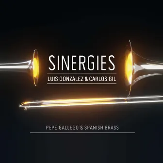 Sinergies by Unknown Artist