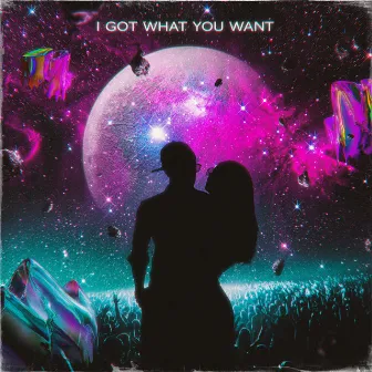 I Got What You Want by Sonic Manifestation