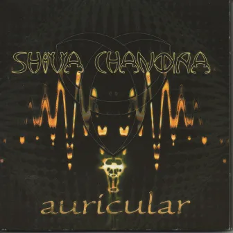 Auricular by Shiva Chandra